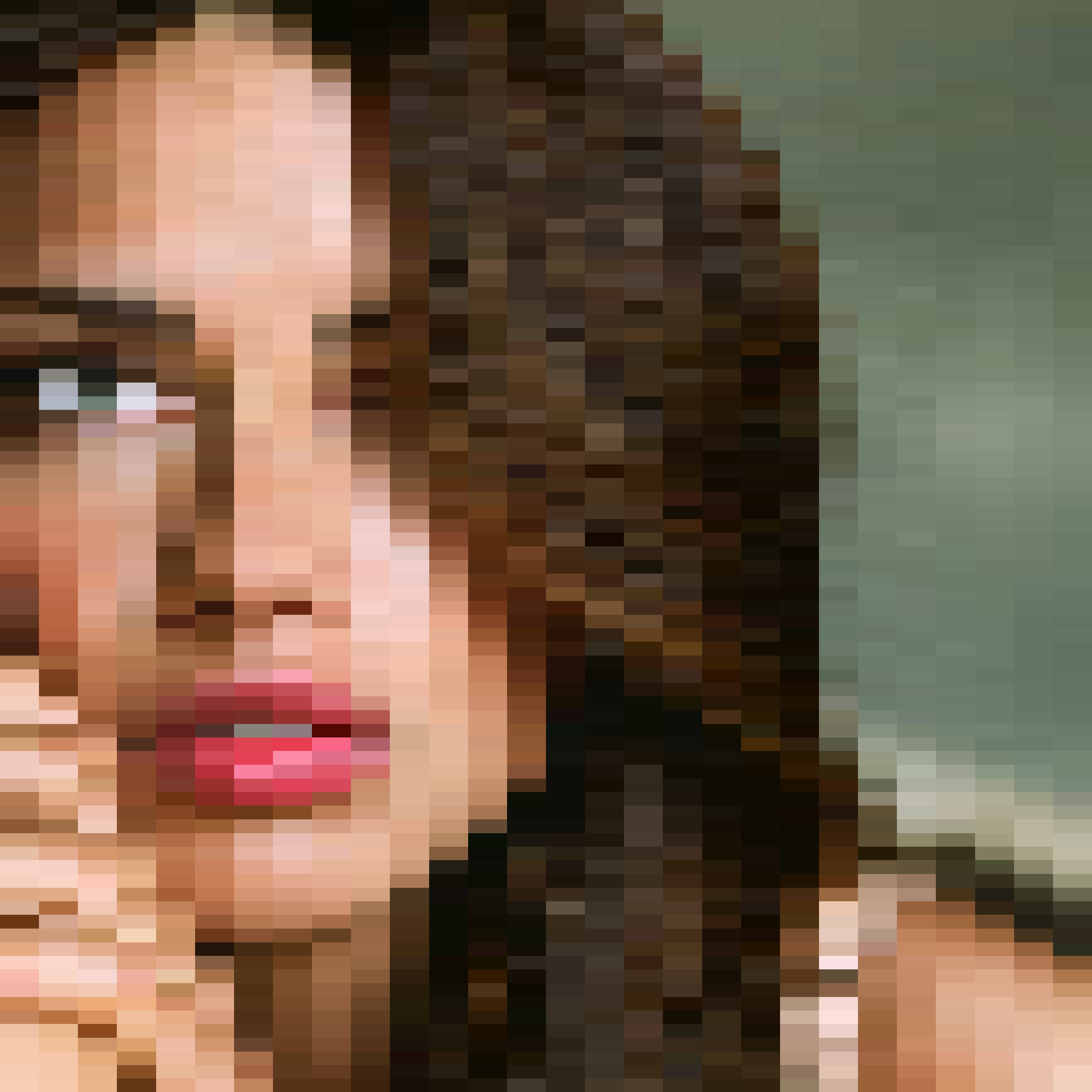 Une image d'Adriana, où les pixels sont transformés en carré ou rectangle, conception paramétrique